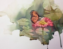 Butterfly and Zinnia