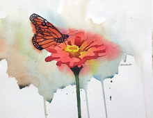 Original Watercolor - Zinnia and Butterfly