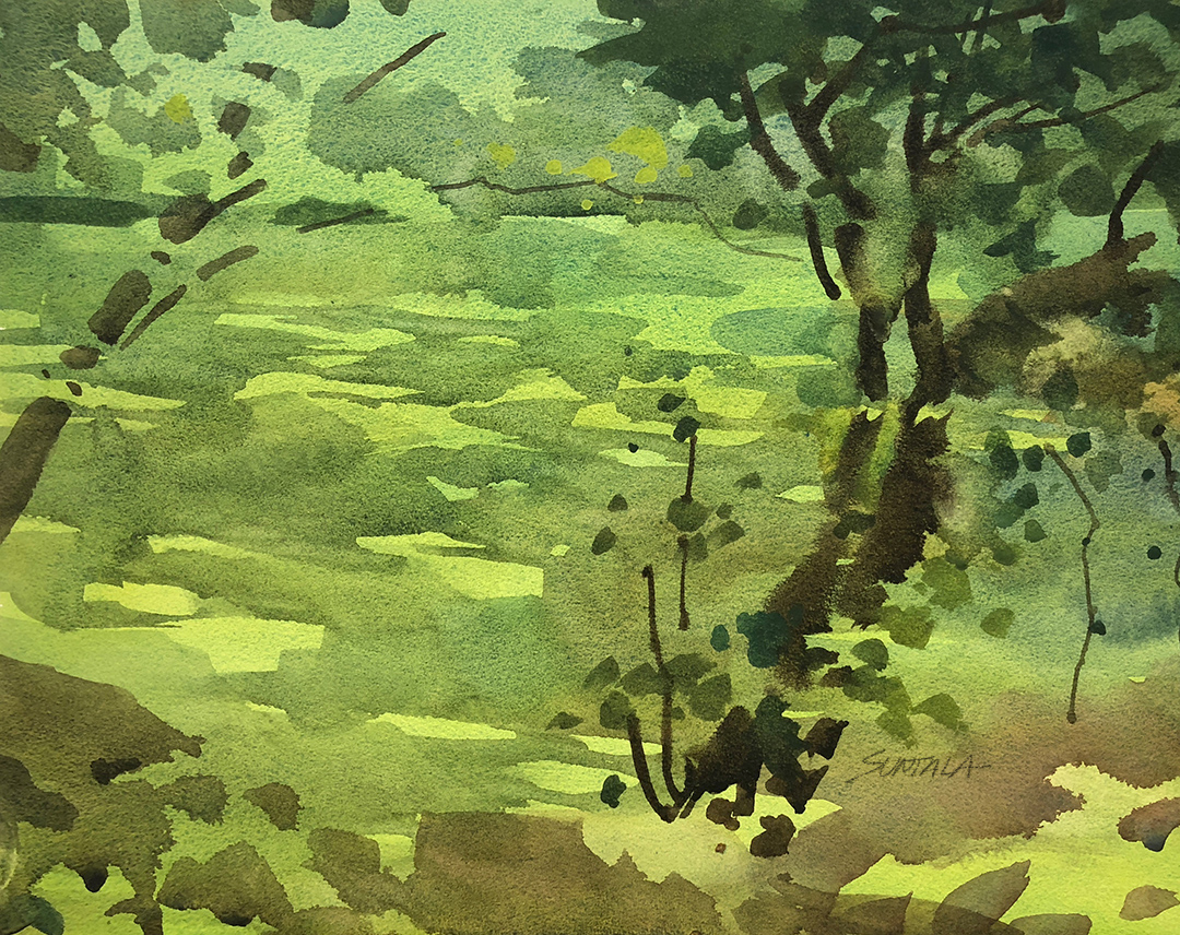 Jeff Suntala Watercolors » Gardenview Duckweed Pond
