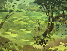 watercolor of Gardenview duckweed pond