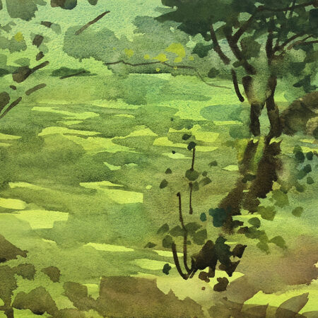 watercolor of Gardenview duckweed pond