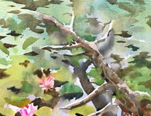 plein air watercolor of Gardenview lily pond