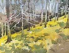 Watercolor of Daffodil Hill, Lake View Cemetery