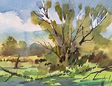 Loose plein air watercolor of the Beaver Marsh in the Cuyahoga Valley National Park.