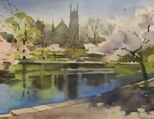 Watercolor of Wade Lagoon with flowering cherry trees in the foreground.