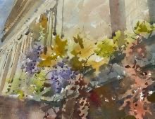 Wisteria at the Cleveland Museum of Art 5-5-2025